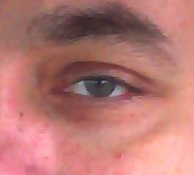 Chester Wilk is watching you!